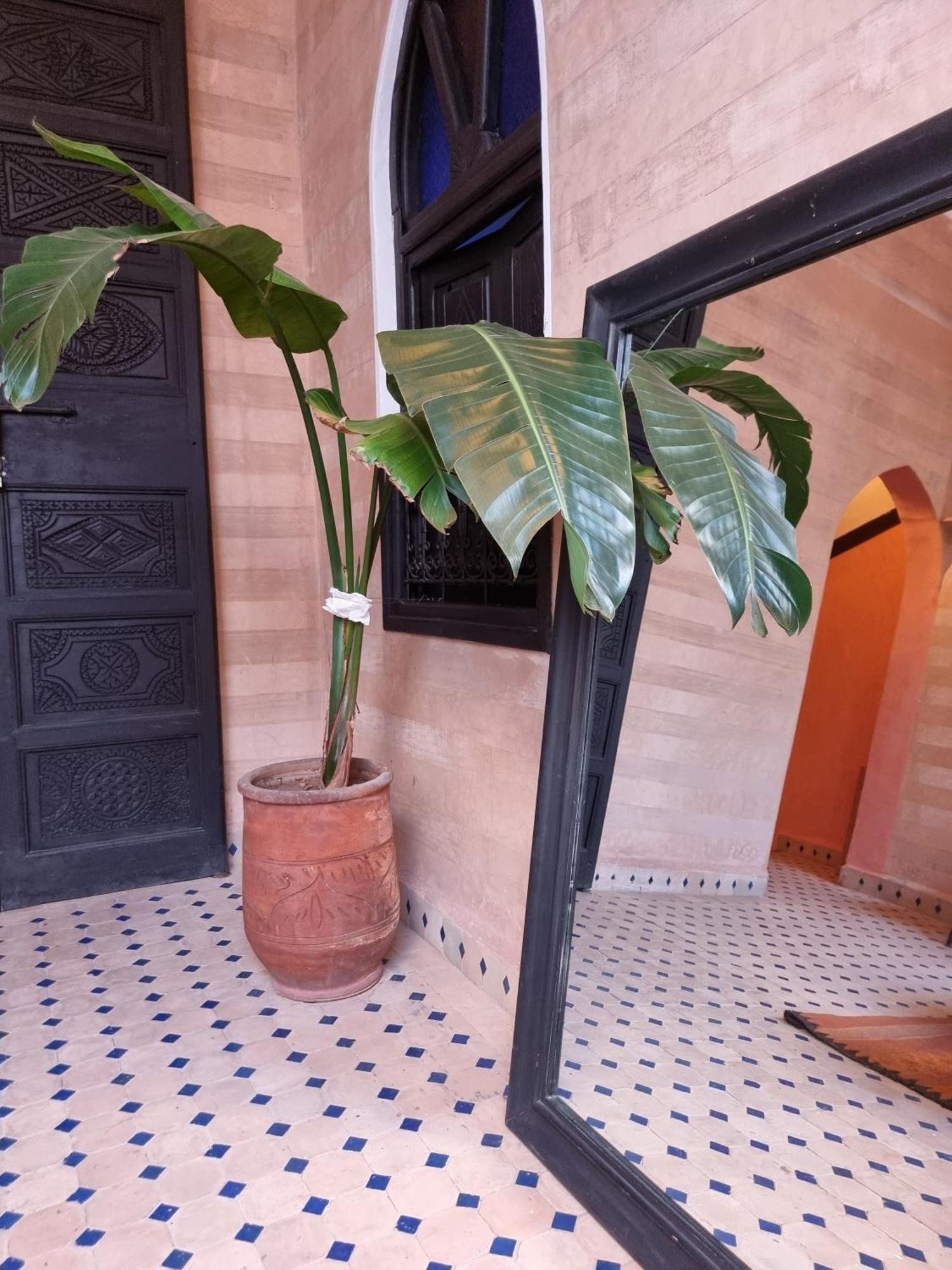 Riad Black Doors Marakeş Dış mekan fotoğraf