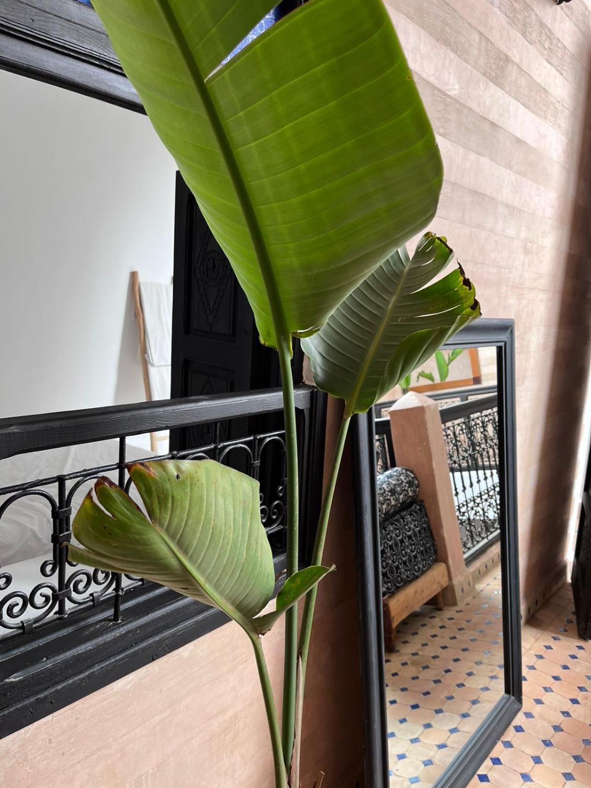 Riad Black Doors Marakeş Dış mekan fotoğraf