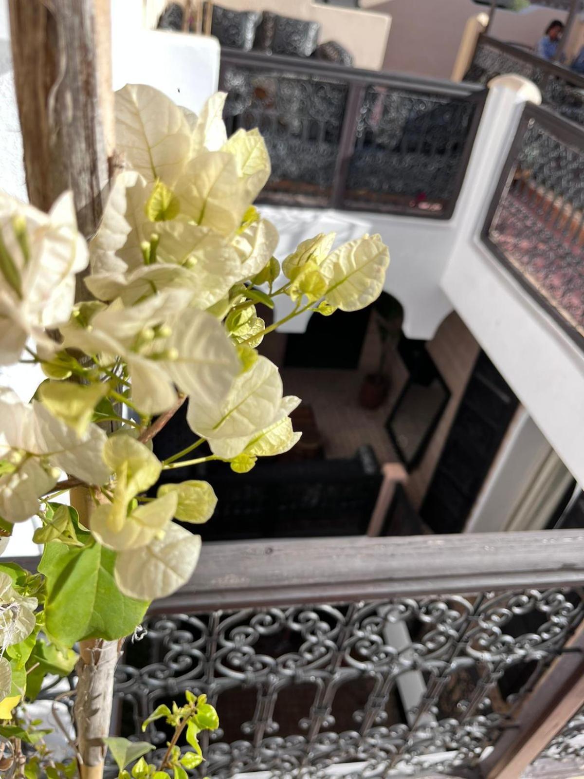 Riad Black Doors Marakeş Dış mekan fotoğraf